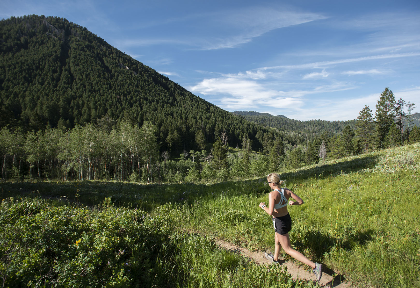 EcoWatch - Wilderness Run